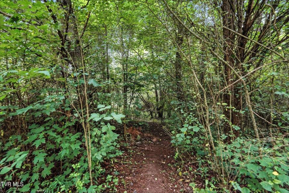 Photo #32: 994 Speedwell Road