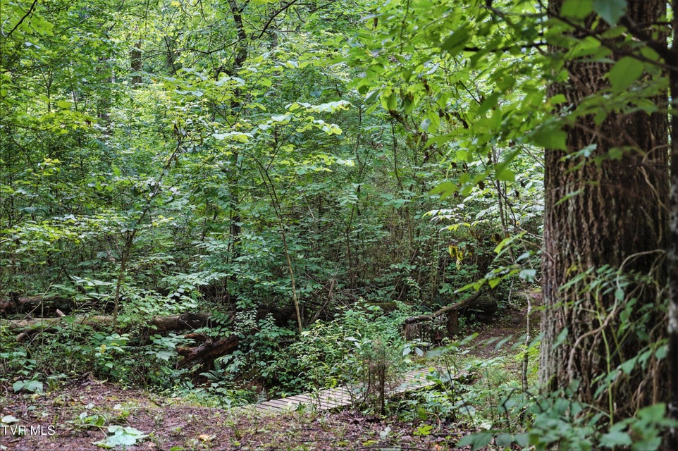 Photo #33: 994 Speedwell Road