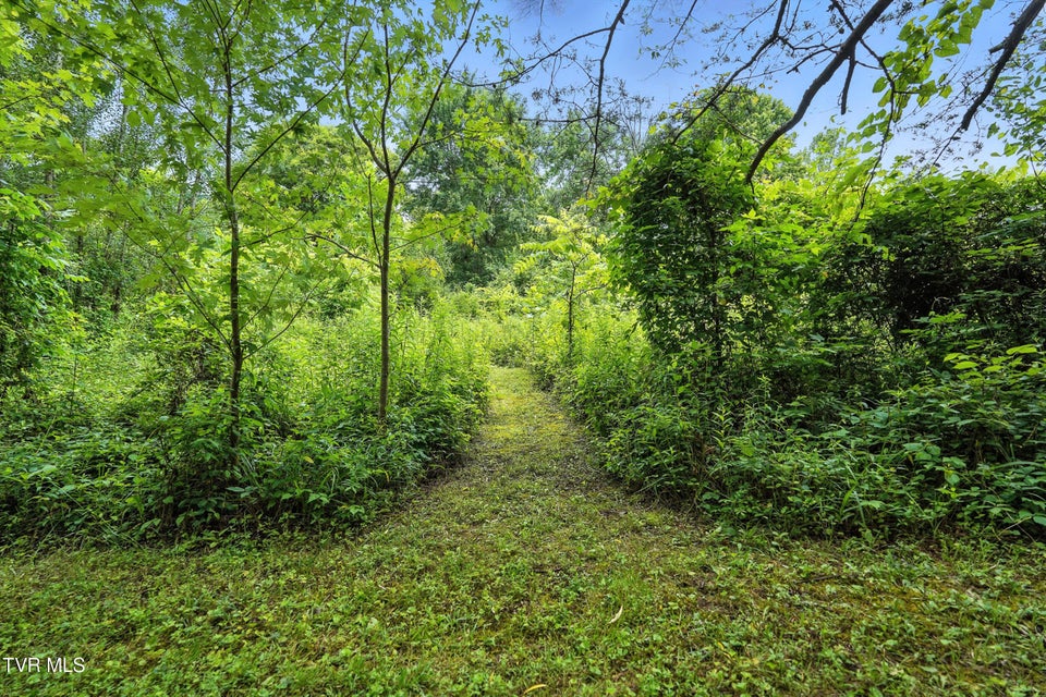 Photo #34: 994 Speedwell Road