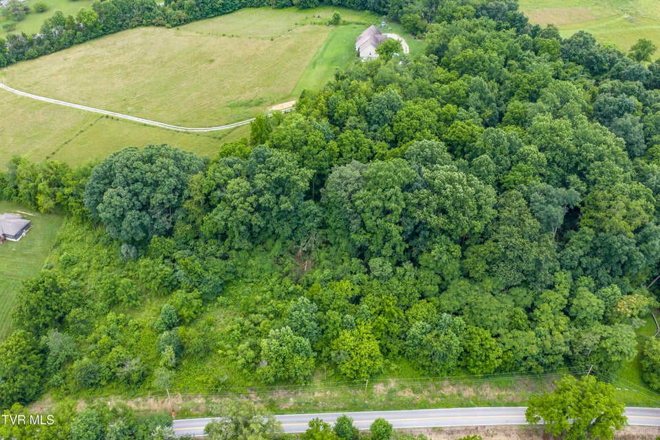 Photo #12: Lot 7 Clear Springs Road