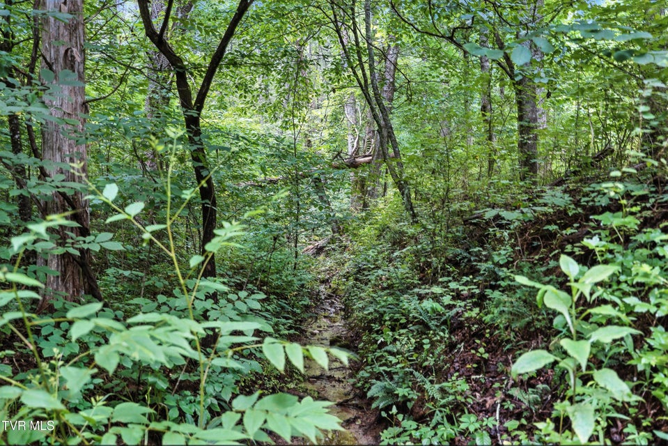 Photo #36: 994 Speedwell Road