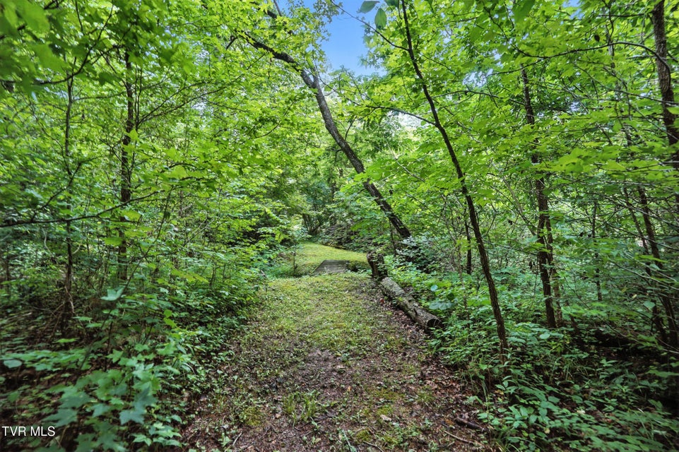 Photo #37: 994 Speedwell Road