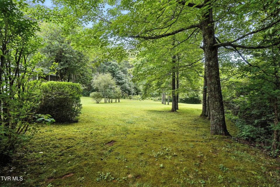 Photo #38: 994 Speedwell Road