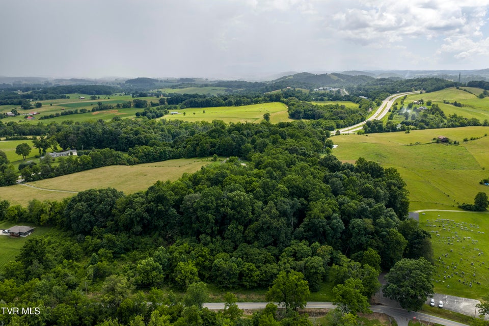 Photo #15: Lot 7 Clear Springs Road