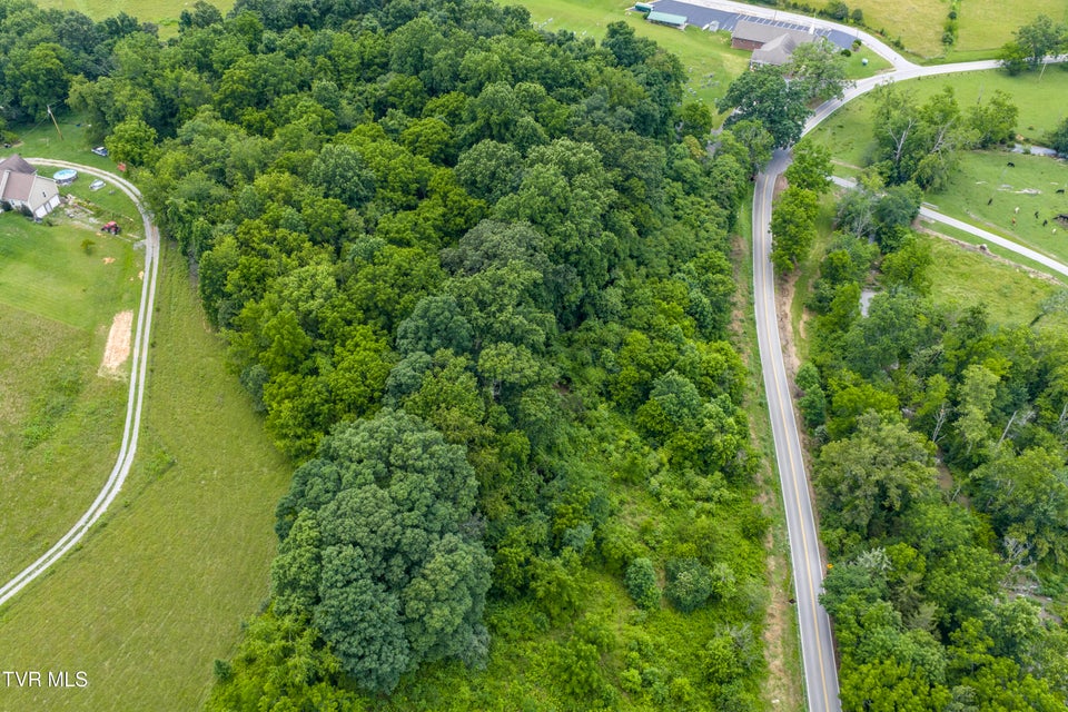 Photo #17: Lot 7 Clear Springs Road