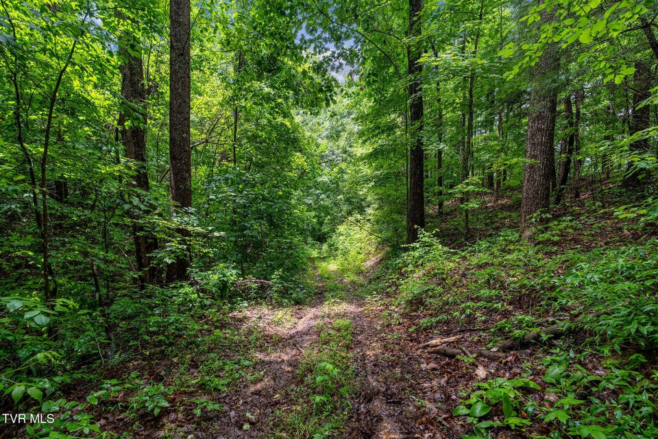 Photo #24: Tbd Houston Valley Road