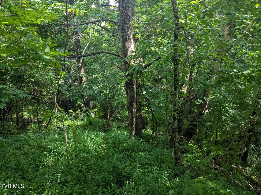 Photo #3: 248 Bayberry Drive