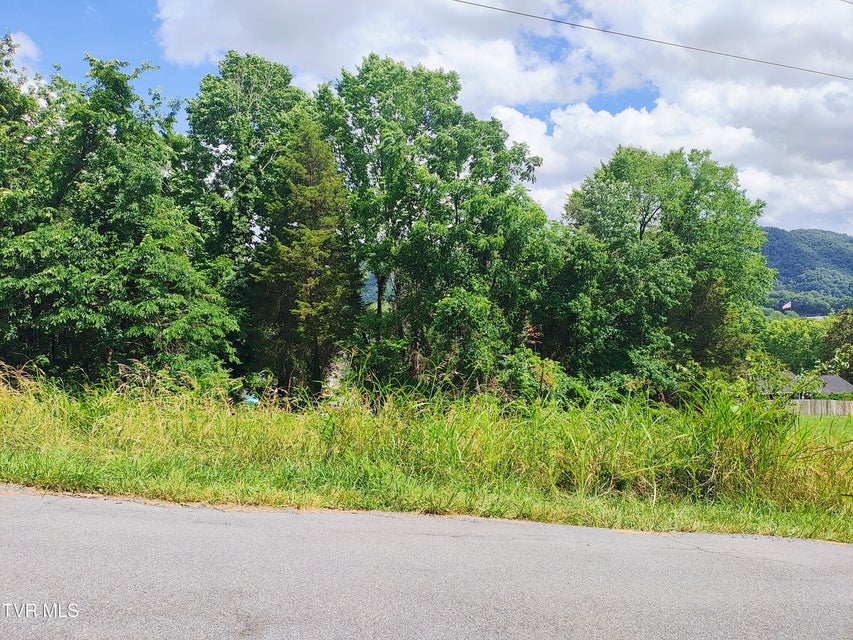 Photo #2: Lot 13 Mountain View Drive