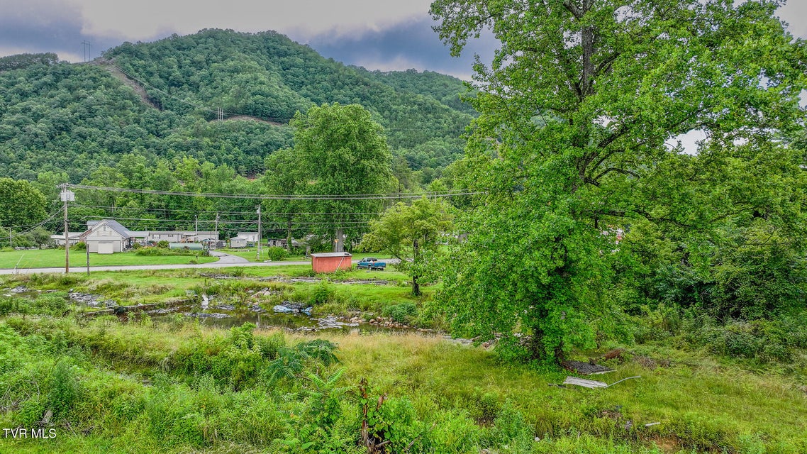 Photo #9: 118 Highway 321 