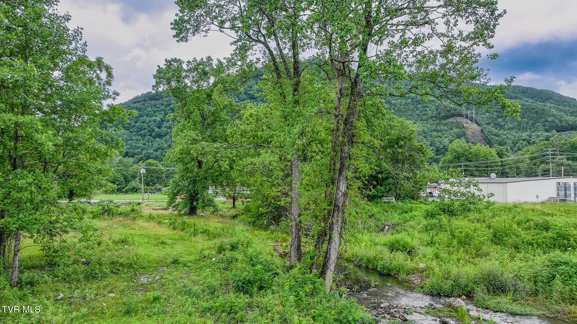Photo #12: 118 Highway 321 