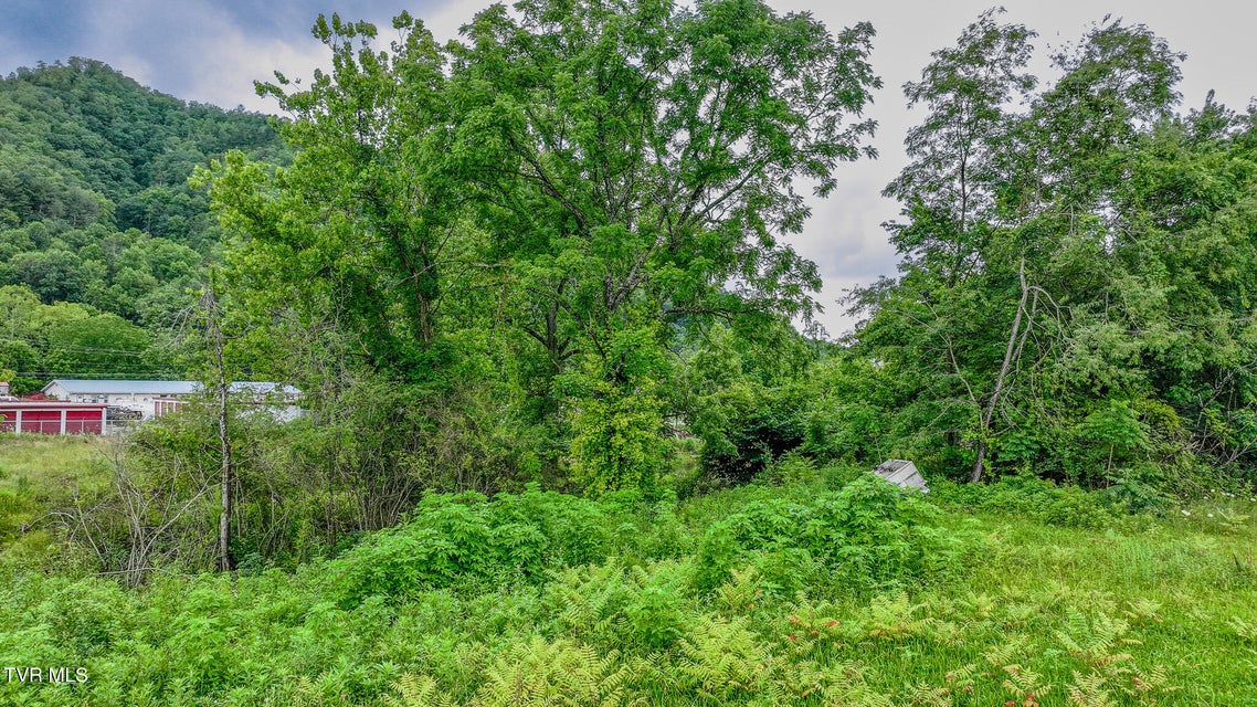 Photo #13: 118 Highway 321 