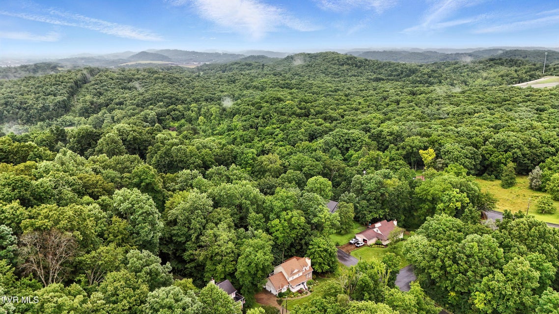 Photo #61: 209 Timberland Circle