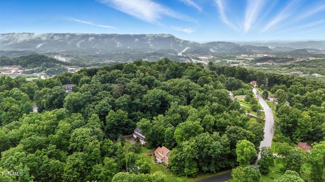 Photo #62: 209 Timberland Circle