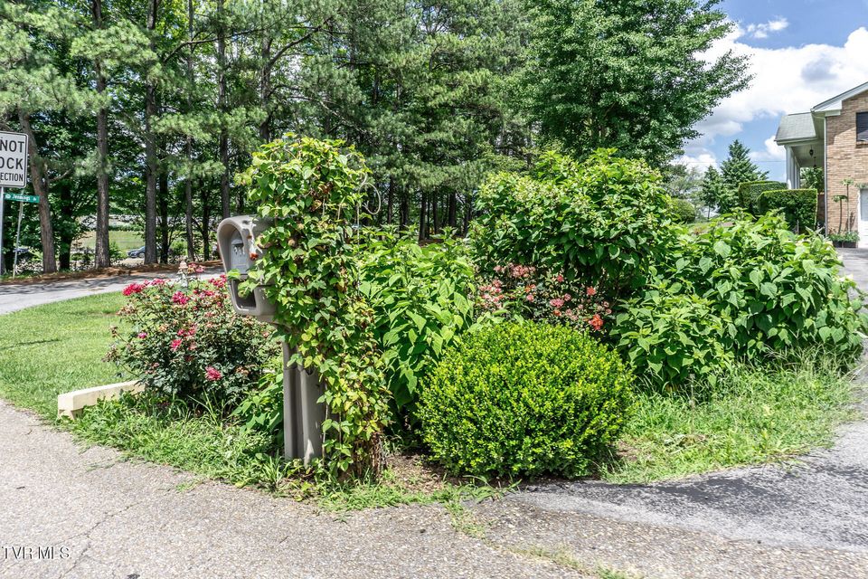 Photo #54: 2449 Jennings Drive