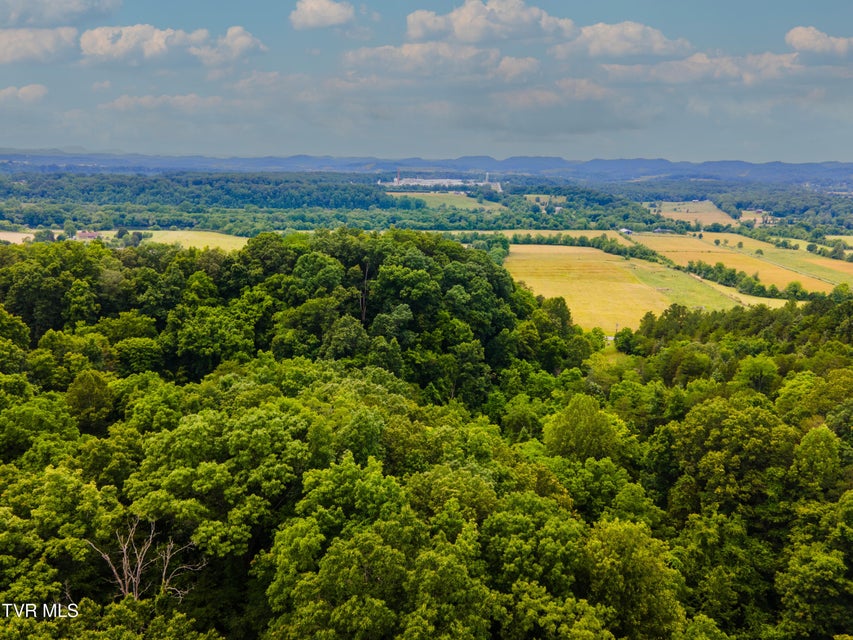 Photo #2: 679 Christian Bend Road