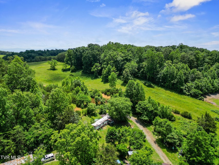 Photo #7: 5020 Kingsport Highway