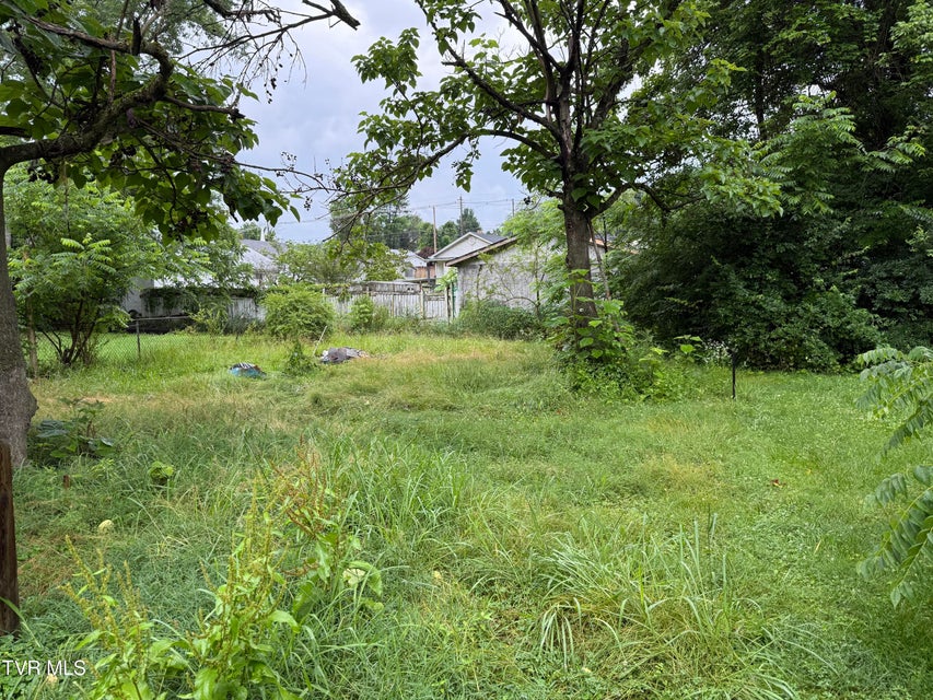 Photo #9: 1741 Dunlap Street