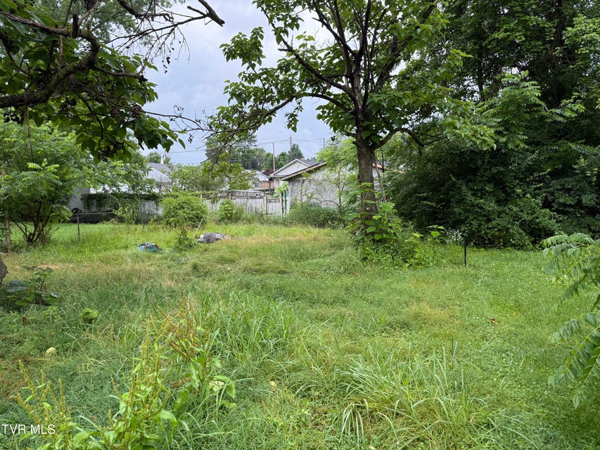 Photo #10: 1741 Dunlap Street