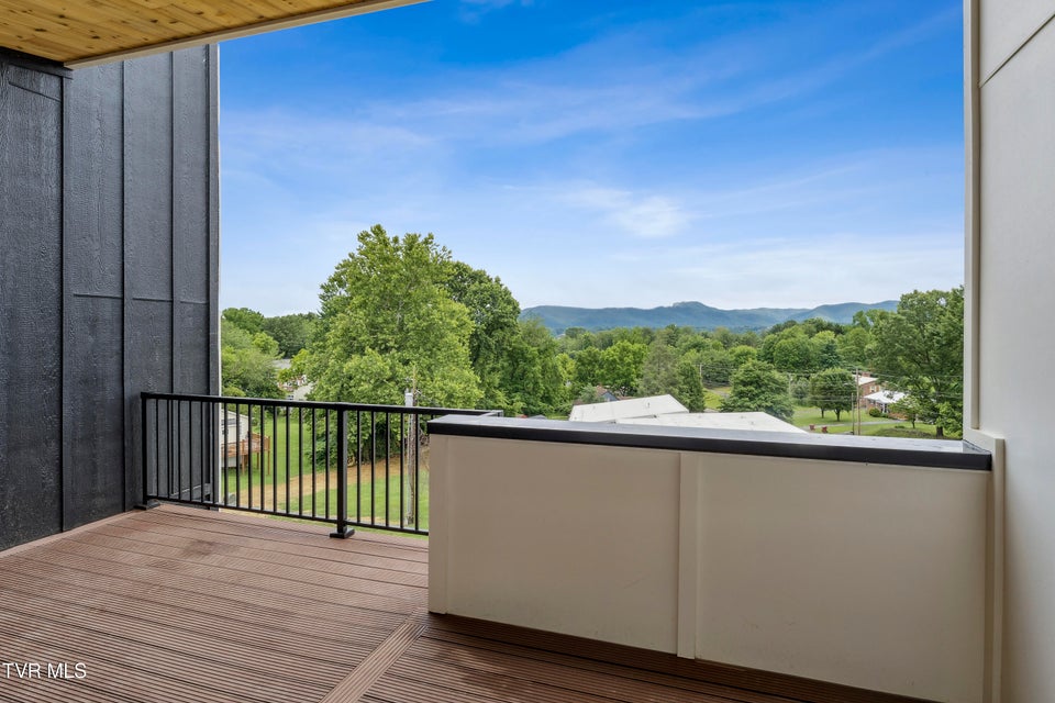 Photo #4: 1533 Pactolas Road