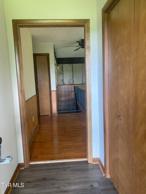 Photo #4: 261 Rainbolt Street