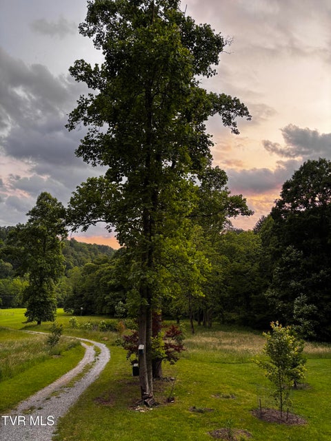 Photo #45: 103 Meadow Springs Court