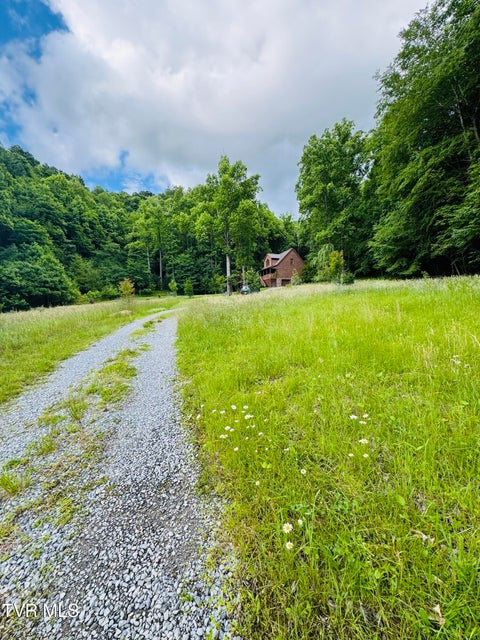 Photo #46: 103 Meadow Springs Court