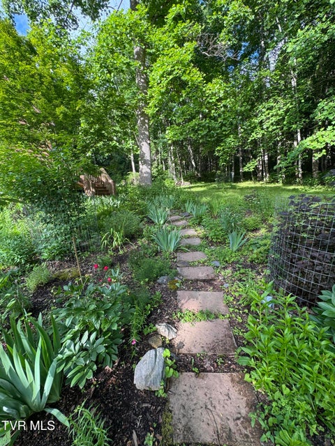 Photo #15: 103 Meadow Springs Court