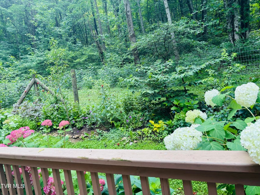 Photo #20: 103 Meadow Springs Court