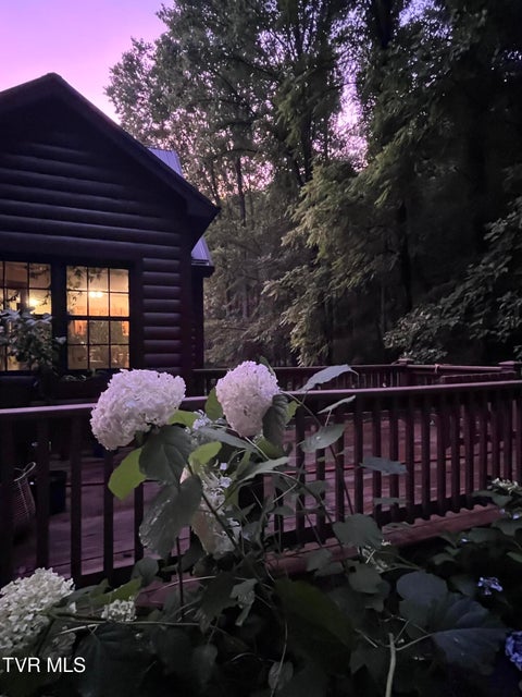 Photo #11: 103 Meadow Springs Court