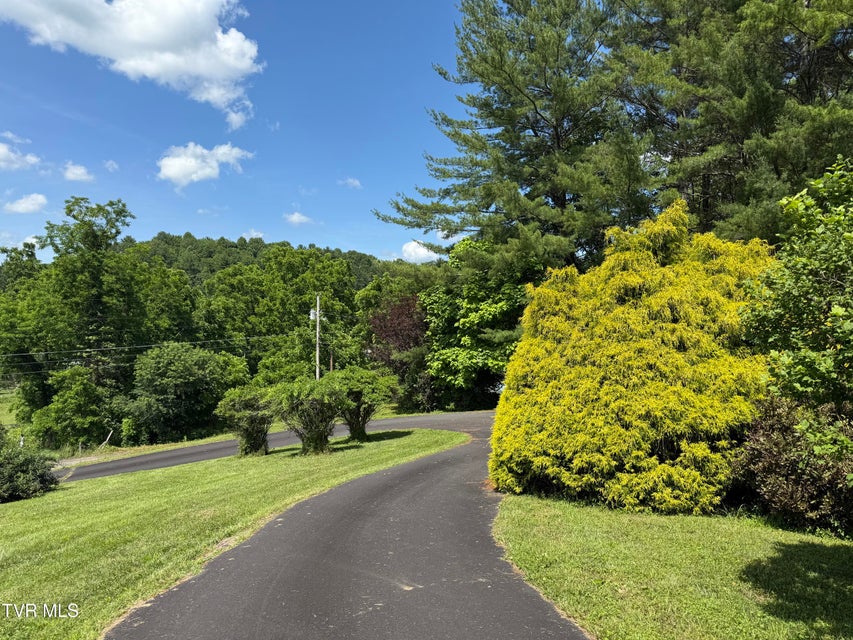 Photo #4: 318 Pinecrest Street