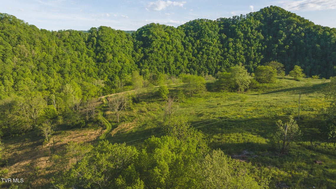Photo #4: Lot 9 Big Springs Road