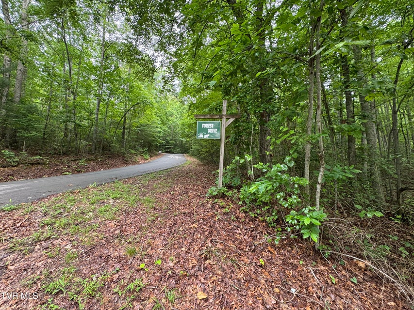 Photo #8: 110 Forest Drive