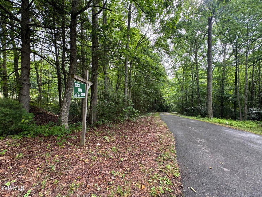 Photo #9: 110 Forest Drive