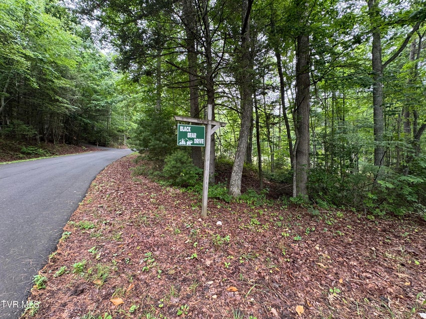 Photo #10: 110 Forest Drive
