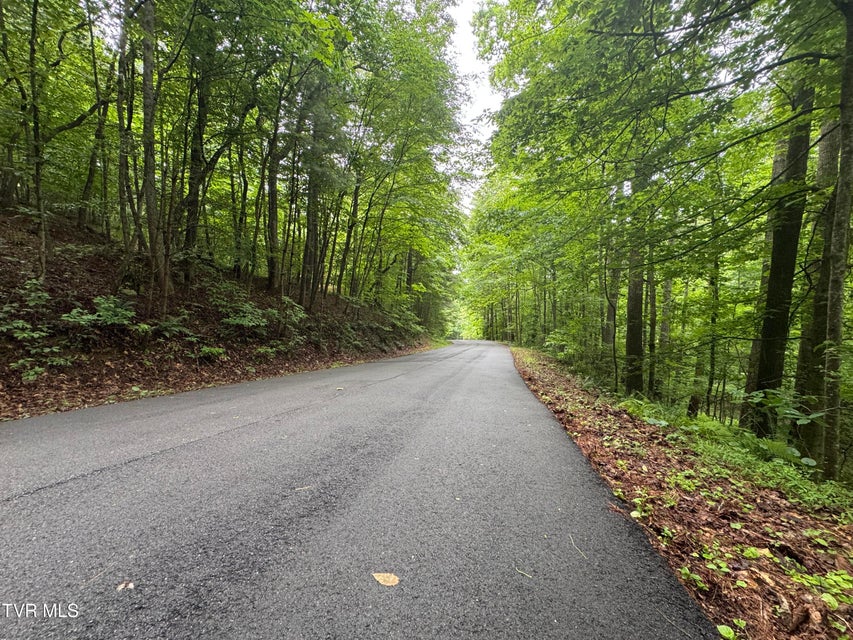 Photo #11: 110 Forest Drive