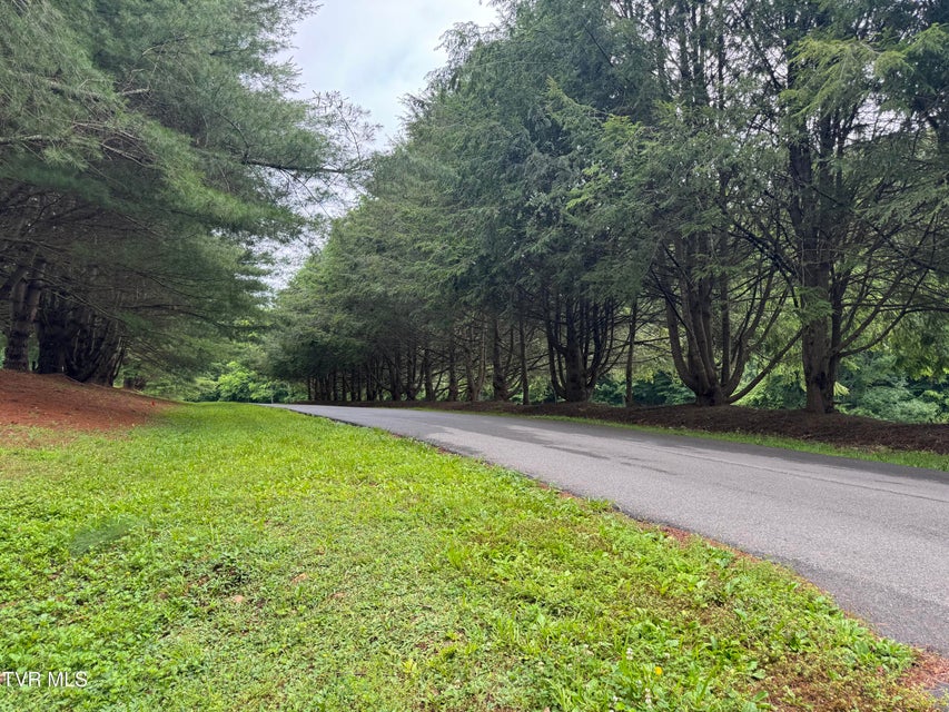Photo #18: 110 Forest Drive