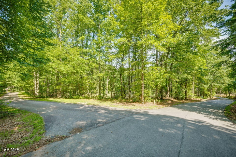 Photo #22: 110 Forest Drive