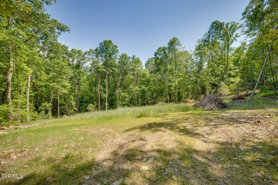 Photo #27: 110 Forest Drive