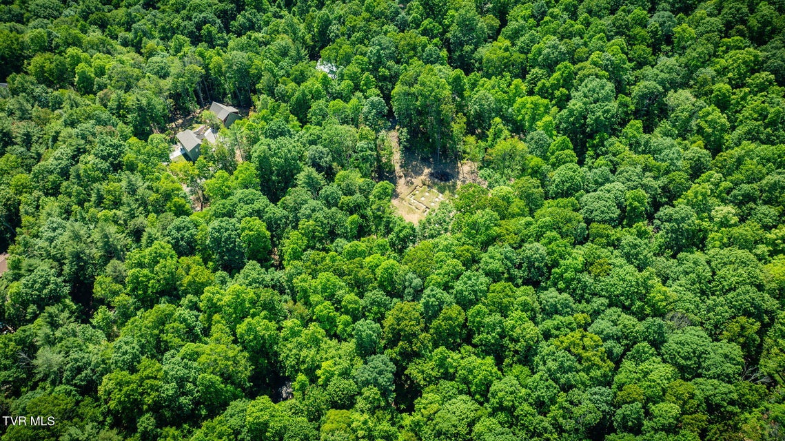 Photo #29: 110 Forest Drive