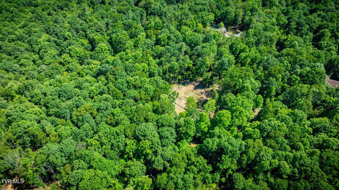 Photo #30: 110 Forest Drive