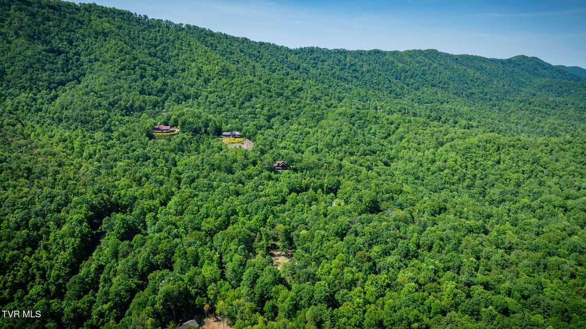 Photo #33: 110 Forest Drive