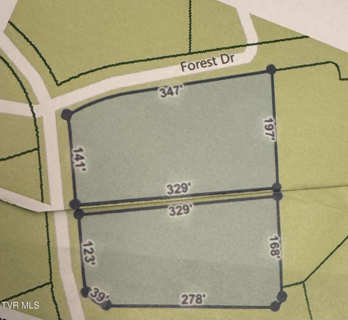 Photo #4: 110 Forest Drive
