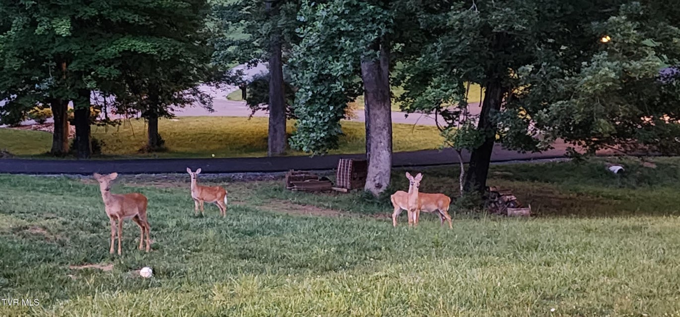 Photo #68: 20216 Heron Circle