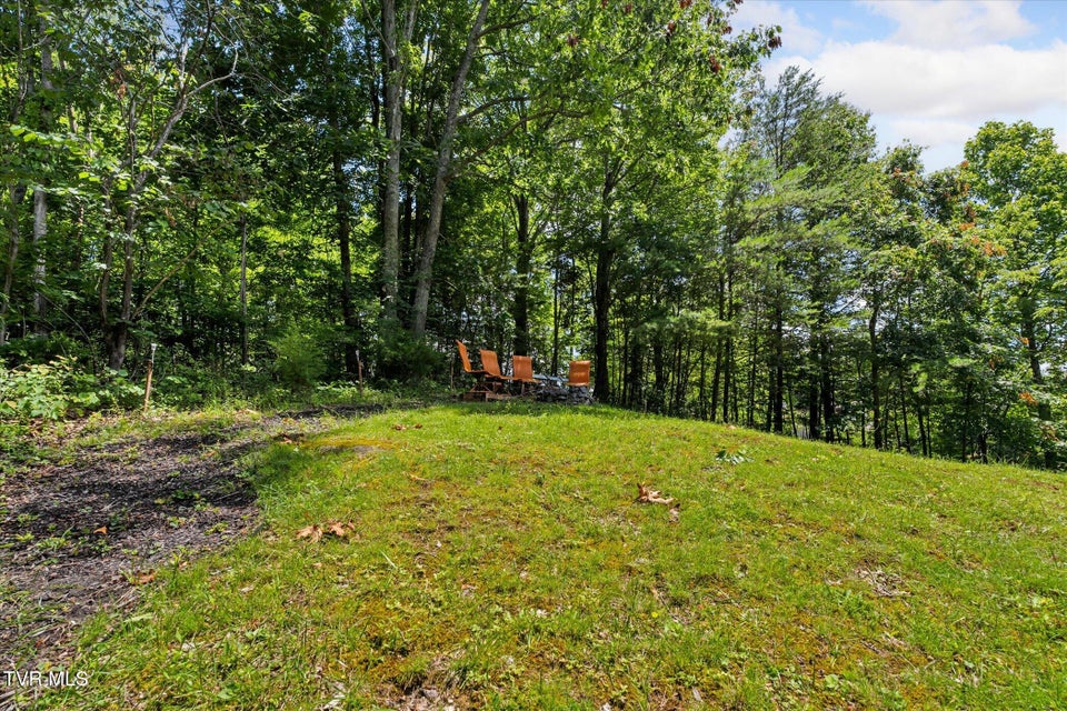 Photo #35: 151 Horseshoe Drive