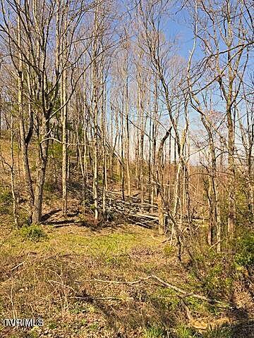Photo #5: Tbd Walnut Mountain Road