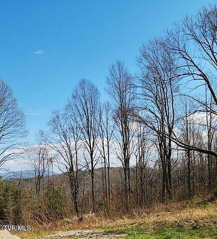 Photo #2: Tbd Walnut Mountain Road