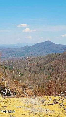 Photo #7: Tbd Walnut Mountain Road