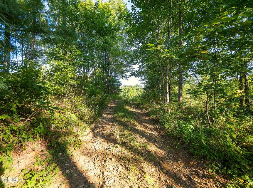 Photo #8: Tbd Walnut Mountain Road