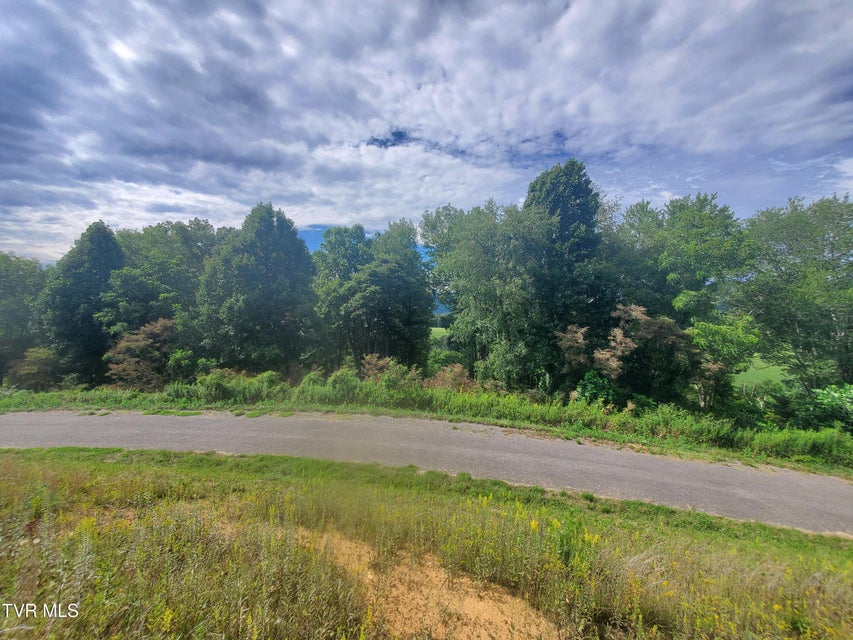 Photo #3: Lot 36 West Of Dry Hill
