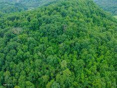 Photo #4: 0 Turkey Cove North Of 58a